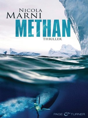 cover image of METHAN